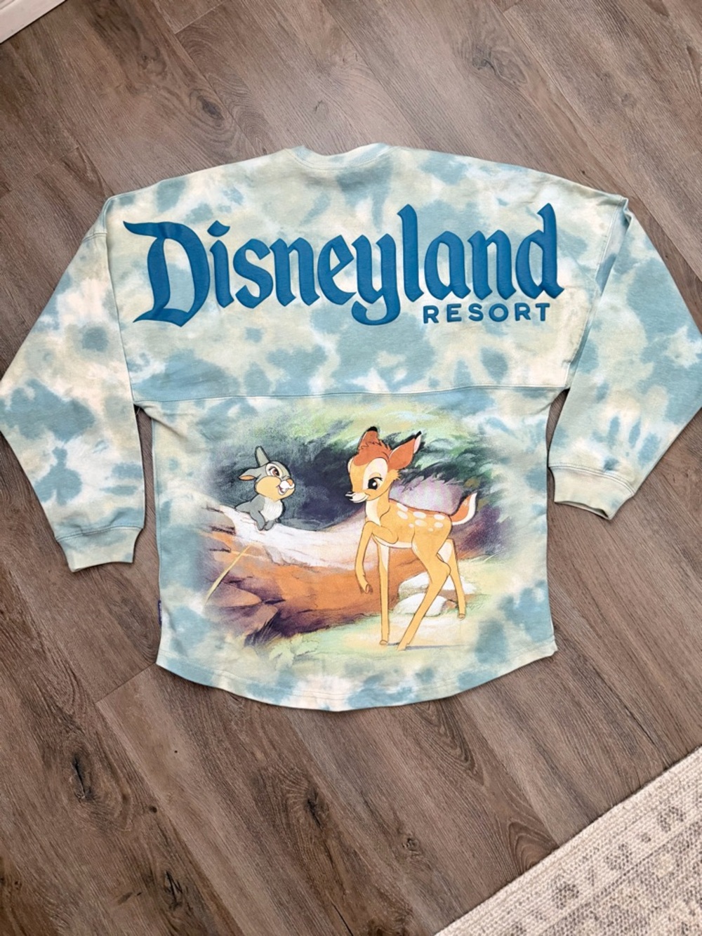 NEW Disneyland Park Bambi and Thumper Spirit Jersey